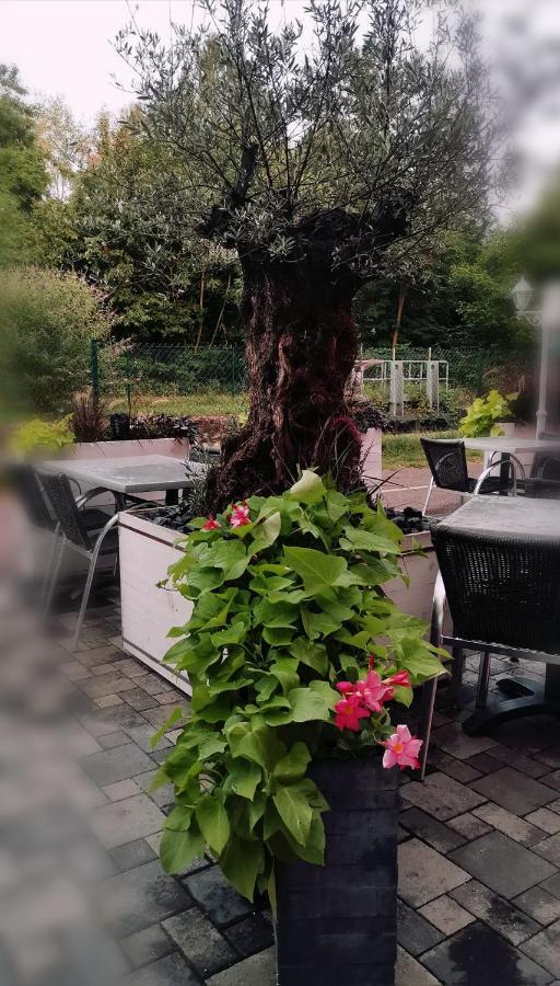 Bed and Breakfast Au Hameau De L'Ecluse Proche Europa-Park Marckolsheim Exterior foto